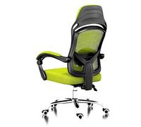 Ergonomic Office Chair with Adjustable Height, Swivel & Recline, Breathable Mesh, Lumbar Support, Executive Desk Chair for Office, Gaming, Study (Green)(Green)