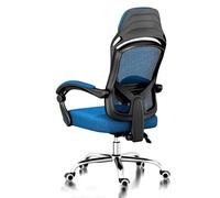 Ergonomic Office Chair with Adjustable Height, Swivel & Recline, Breathable Mesh, Lumbar Support, Executive Desk Chair for Office, Gaming, Study (Green)(Blue)