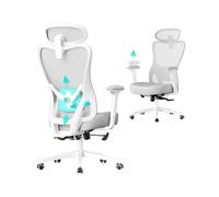 Ergonomic office chair with adjustable lumbar and headrest, Dove Grey / Adjustable Armrests