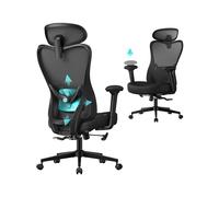 Ergonomic office chair with adjustable lumbar and headrest, Ink Black / Adjustable Armrests