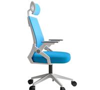 Ergonomic Office Chair with Adjustable Lumbar Support; High Back Mesh Computer Chair with Headrest & Flip-Up Armrests; Ideal Home Office Work Chair