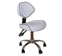 Ergonomic Rolling Saddle Chair with Back Support for Dental Stylists and Tattoo Artists