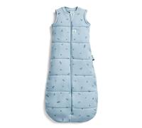 ergoPouch 100% GOTS Winter Jersey Sleeping Bag - 2.5 TOG Dragonflies in Light Blue | Size: 8-24 m ergoPouch Light Blue 8-24 m