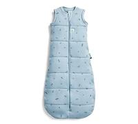 Organic Winter Jersey Sleeping Bag - 2.5 TOG Dragonflies ergoPouch Light Blue 8-24 m