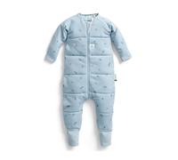 ergoPouch Sleep Onesie 2.5 TOG - Warm Baby Romper & Sleep Layer with Full-Zip, Guarding Against Blankets, Breathable & Movement-Friendly, Ideal for Transitional Sleeping (12-24 Months, Dragonflies)