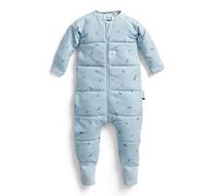 ergoPouch Sleep Onesie 3.5 TOG - Warm Baby Romper & Sleep Layer with Full-Zip, Guarding Against Blankets, Breathable & Movement-Friendly, Ideal for Transitional Sleeping (3 Years, Dragonflies)