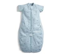 ergoPouch Sleep Suit Bag 1.0 TOG - Baby Sleep Sack & Wearable Blanket, 2-in-1 Convertible Sack to Suit with Legs for Safe Movement, Regulates Temperature Overnight, Unisex (2-4 Years, Dragonflies)