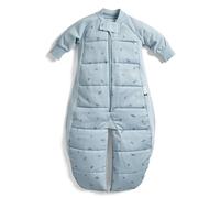 Organic Winter Long Sleeved 2 in 1 Sleeping Suit Bag - 2.5 TOG Dragonflies ergoPouch Light Blue 2-4 Years
