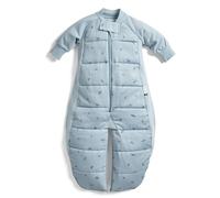 ergoPouch Sleep Suit Bag 3.5 TOG - Baby Sleep Sack & Wearable Blanket, 2-in-1 Convertible Sack to Suit with Legs for Safe Movement, Regulates Temperature Overnight, Unisex (8-24 Months, Dragonflies)
