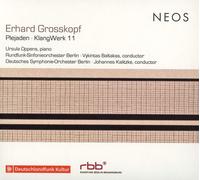 Erhard Grosskopf Erhard Grosskopf: Plejaden/KlangWerk 11 (CD) Album
