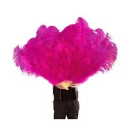 ERHTGUO 13Bones WHITE Feather Fan Stages Performance Carnival Show Accessory Unfold 100/130CM Long 60/75CM Width(Rose Red,100CM 1PCS)