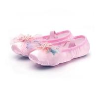 ERHTGUO Lovely Princess Dance Soft Soled Ballet Shoe Children Girls Cat Claw Chinese Ballerina Exercises Shoes(Cherry pink,38)