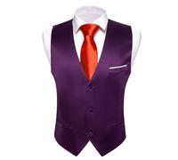 ERHTGUO Mens Suit Vest Slim Fit Men Sleeveless Vest Classic V-Neck Waistcoat Necktie Set Leisure Formal Party Wedding(Color 10,M)