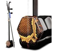Erhu Instrument, Beginner Chinese 2 Strings Violin Musical Instrument Beginners Practice Grading Universal Accessories