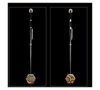 Erhu Instrument Chinese Erhu Two Strings Violin Fiddle Instrument Solid Wood Bow With Case Erhu Accessories Erhu Instrument (Color : : brass scroll)