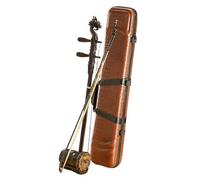erhu instrument Dragon Head Ebony Flat Octagonal Erquanhu Professional Erhu Erquanhu Dual-purpose Instrument Dual-channel