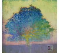 Eric Johnson - EJ