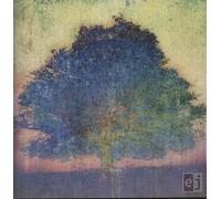 Eric Johnson - EJ [VINYL]