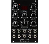 Erica Synths Black Hole DSP2 Multi-Effect Eurorack Module
