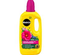 (Ericaceous) Miracle-Gro Pour and Feed Liquid Plant Food, 1L