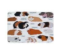 ERICAT Mat 40x60cm,Non-Slip Bathroom Mat Machine-Washable,Guinea Pig Breeds icon Set Flat Style Isolated on White,Ultra Soft and Water Absorbent Bath Rug for Bathroom,Tub and Shower