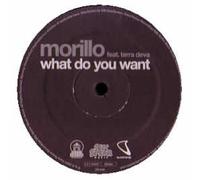 Erick Morillo - What Do You Want [Vinyl Single] [VINYL]