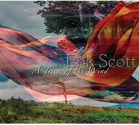 Erik Scott - Trick Of The Wind