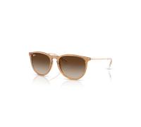 Ray - Ban Woman RB4171 ERIKA 681413 Sunglasses Nylon Brown Brown Pantos Normal Shaded