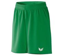 erima Celta shorts, Men, green(emerald), 38 (Manufacture Size: XL)