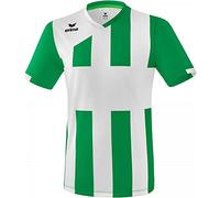 Erima Men's Siena 3.0 Jersey - Emerald/White, Large