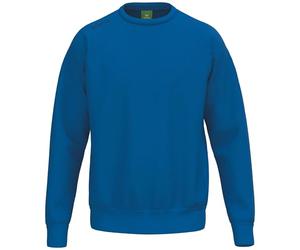 Erima Unisex Children's TS Basic Sweatshirt (2072585) New Royal, 152