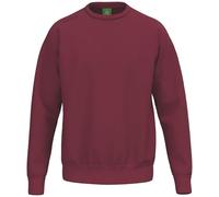 Erima Unisex TS Basic Sweatshirt (2072584) New Bordeaux, L