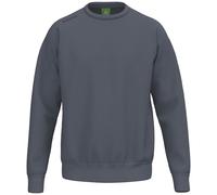 Erima Unisex TS Basic Sweatshirt (2072589) Slate Grey, L
