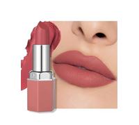 Erinde Matte Lipstick, Soft Blurred Finish, Long Lasting Non-Drying Lipstick, Smooth Lightweight Texture, Comfortable Wear, Waterproof Lip Makeup for Everyday & Night Out Looks #01