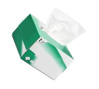 ERINGOGO 1 Box Electrostatic Eyeglass Cleaning Wipes for Electronics Absorbent Tissues with Anti-static Protection Industrial Strength for Camera Lens Computer Laboratory Use