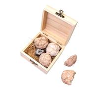 ERINGOGO 1 Box Gem Dig Kit for Adults Educational Geology with Safe Materials Easy Excavation Hammer Included Fun Gemstone Mining and Rock Collection