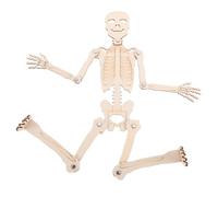 ERINGOGO 1 Set Human Skeleton DIY Kit Unfinished Model for Educational Anatomy Promotes Active Learning for Classrooms and Science Fairs Engaging Problem Solving Tool