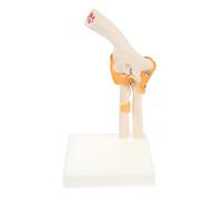ERINGOGO 1Pc Elbow Joint Model Human Skeleton Anatomical Model for Anatomy Study Life Educational Tool with Stand for Schools and Hospitals Visual Aid for Understanding Elbow