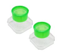ERINGOGO 1pc Insect Observation Box Glass for Educational Bug Viewer Container for Nature Exploration and Science Learning for Observing and Insects