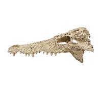 ERINGOGO 1Pc Miniature Dinosaur Skull Aquarium Decor Random Color Model for Fish Tank Micro Landscape Adornment Lightweight Decoration for Home Office and Parties Random Color