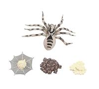 ERINGOGO 1set Animal Evolution Model Display Simulation Realistic Spider and Insect Life Cycle Educational Decor for Boys and Girls for Learning and Storytelling Home Decoration and