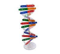 ERINGOGO 1set Human Body Dna Model Kit Double Helix Model Kit Science Educational Instrument Classroom Teaching Self-assemble Molecular for Structure