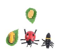 ERINGOGO 1set Simulation Insect Growth Cycle Models Educational Animal Evolution Toys for Boys and Girls for Party Decorations and Natural Science Learning
