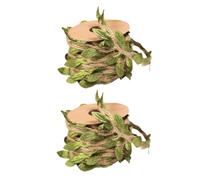 ERINGOGO 2 Rolls Natural Hemp Rope Cat Scratching Post Replacement DIY Rope with Artificial Green Leaves, 5 Meters Per Roll for Cat Climbing Columns and Furniture