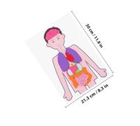 ERINGOGO 2 Sets DIY Human Organs Model Educational for Creative Anatomy Teaching Aids Lightweight Cloth Material for Learning and Imagination Development