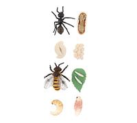 ERINGOGO 2 Sets Simulation Bee and Ant Life Cycle Models Educational for Lightweight Figurines for Learning Growth Stages Safe and Easy to Handle Playthings for Boys