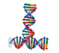 ERINGOGO 2pcs Dna Double Helix Model Self-assembling Science Teaching Aid for Educational Biology Kit Gene Structure Molecular Tool for Classroom Use