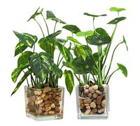 ERINGOGO 2pcs Faux Potted Plant Small Leaf Decorative Artificial Bonsai for Home Office Realistic Fake Small Plants Desktop Adornments with Glass Pebble Base No Watering Needed Indoor