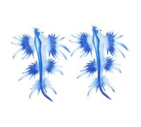ERINGOGO 2pcs Lifelike Simulation Sea Slug Soft Plastic Animal Models Mini Ocean Creatures for Desktop Decoration Educational Figurines for Collectors