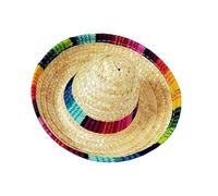 ERINGOGO 2pcs Mini Mexican Hat Hair Hoops for Small Dogs and Puppies Lightweight Headwear with Firm Fit Random Color and Pattern Fun Birthday Accessory and Party Headdress Random Color